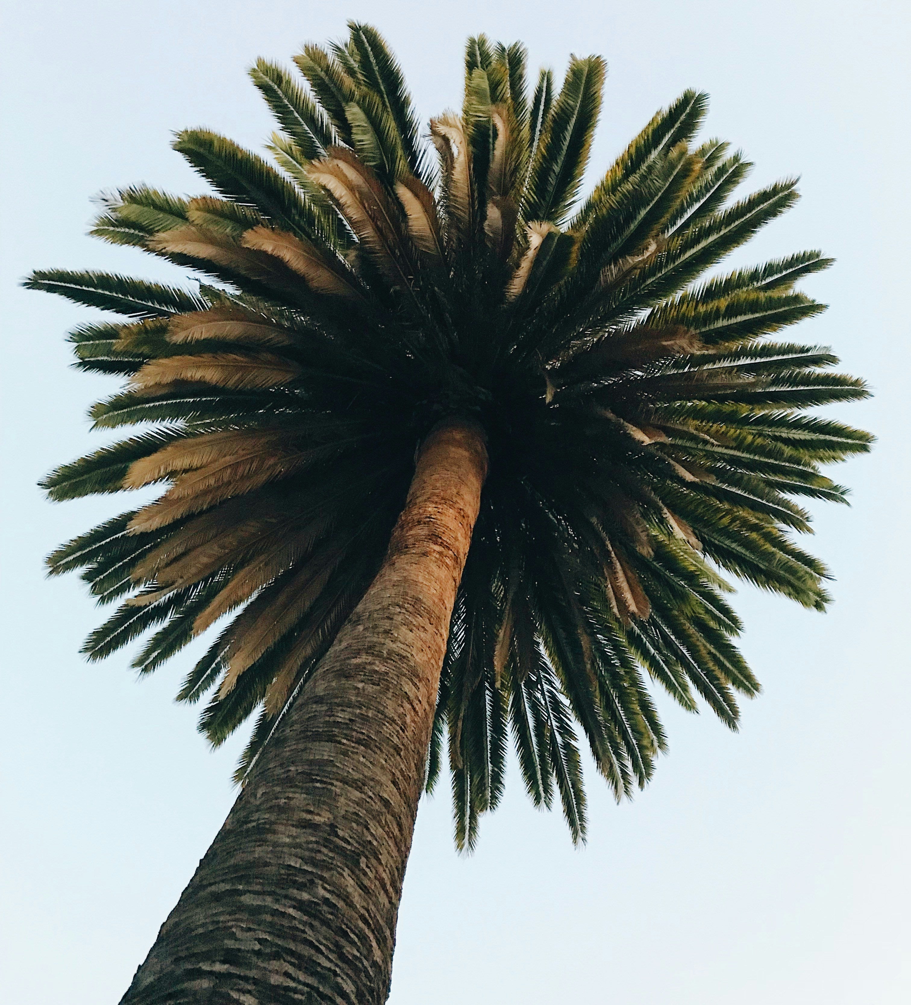 derick-mckinney-t87_opLSaqI-unsplash.jpg