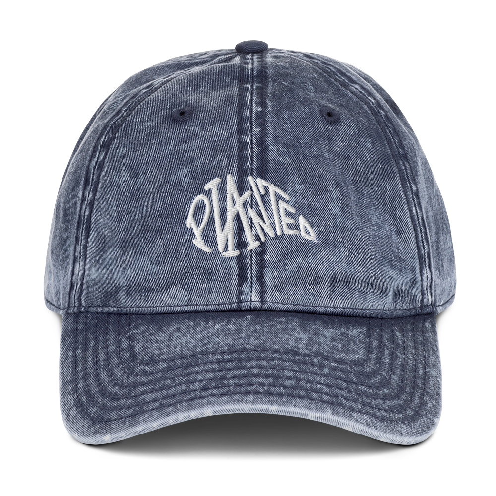denim hat